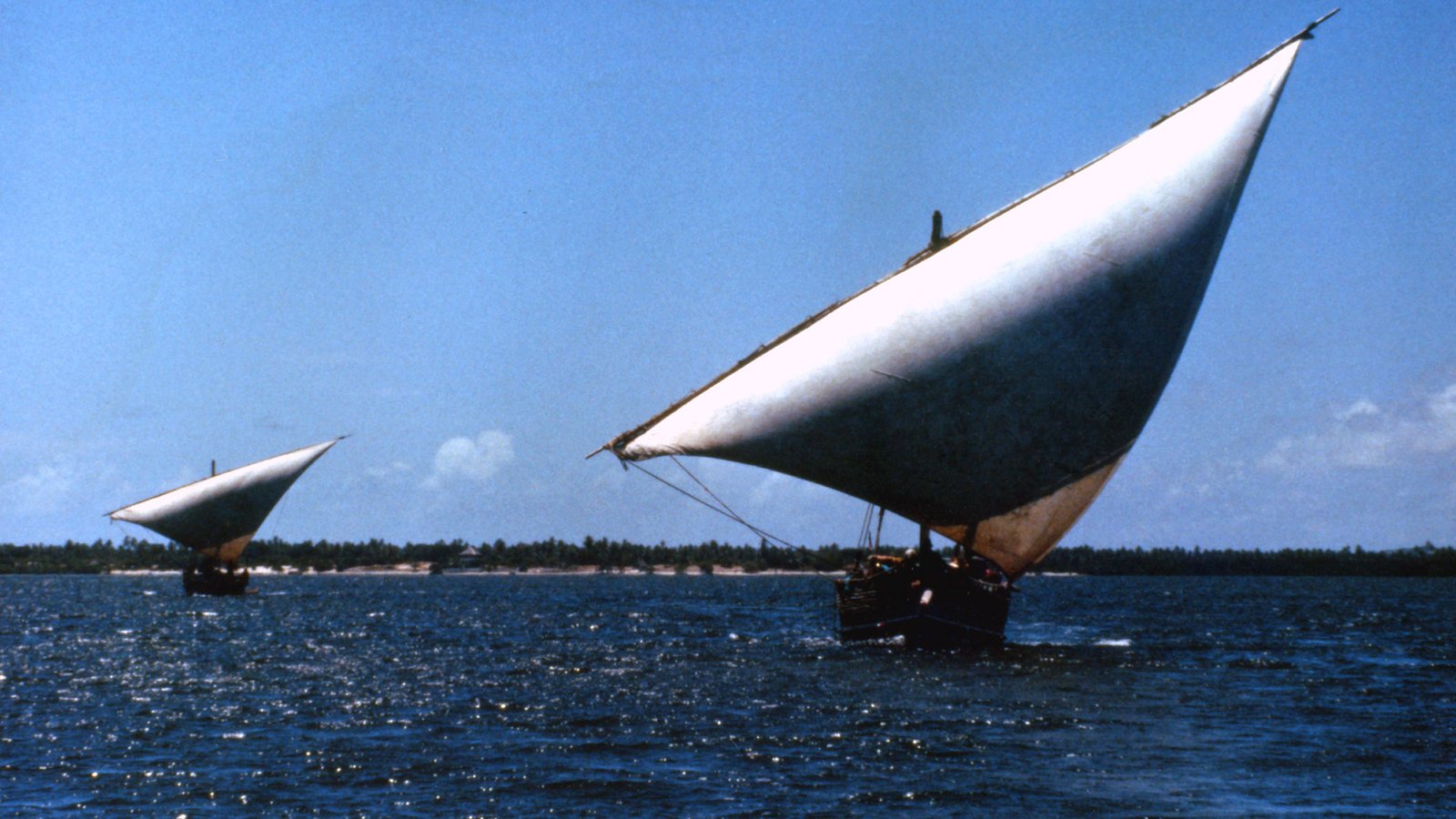 Due dhow con le vele triangolari navigano lungo la costa dell'Oceano Indiano